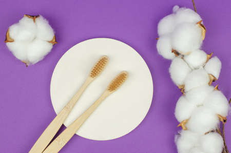 Two wooden toothbrushes and cotton flowers on a purple background. personal hygiene itemsの写真素材