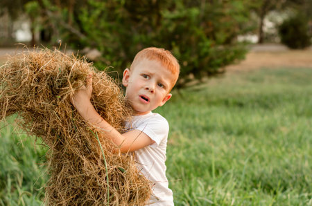 A five-year-old red-haired boy collects hay to feed the cattle. Farmer's child helps collect hayの写真素材