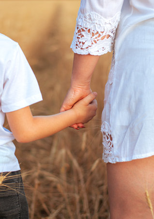A mother's hand holds her son's hand in a wheat field, close-up. Close up son's hand in mother's handの写真素材