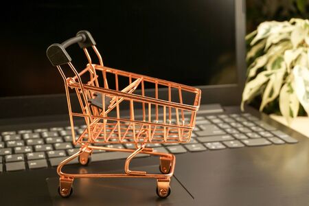 shopping basket on laptop with plants on background. copy space. shopping concept