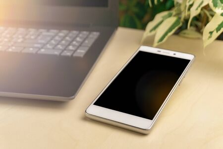 smartphone and laptop with copyspace and plants on backgroundの写真素材