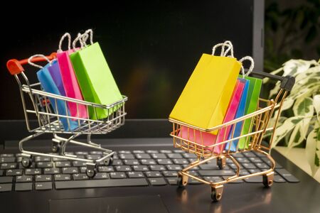 online shopping concept. little shopping cart with colorful shopping bags inside  stand near laptop, little deliver boxes, bank cardの写真素材