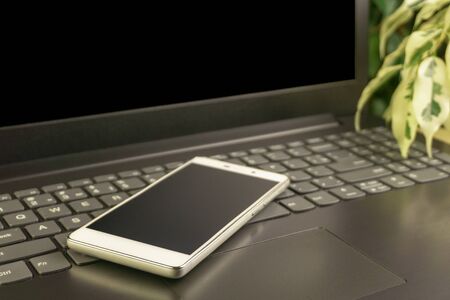 smartphone and laptop with copyspace and plants on background