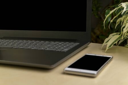 smartphone and laptop with copyspace and plants on backgroundの写真素材