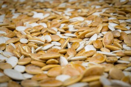 pattern of yellow and white pumpkin seedsの写真素材