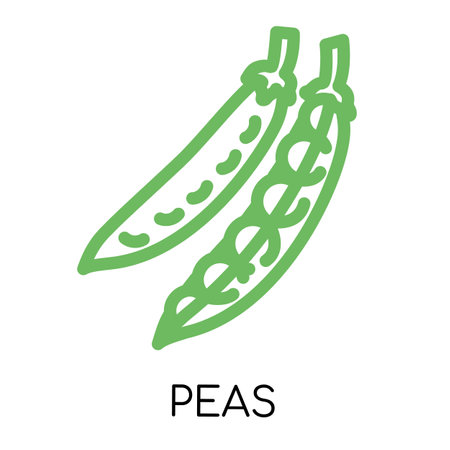 Peas fat line vegetable icon, vector illustrationのイラスト素材