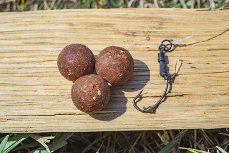 Complex-T Boilies with fishing hook. Fishing rig for carps, boilie rig, near the lake on a piece of wood.の写真素材