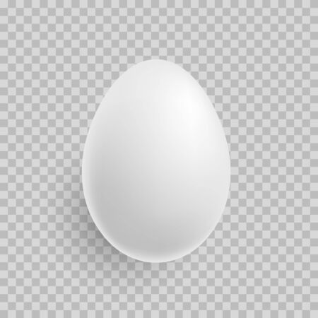 Egg. Realistic white egg icon isolated on transparent background. Vector illustration.のイラスト素材