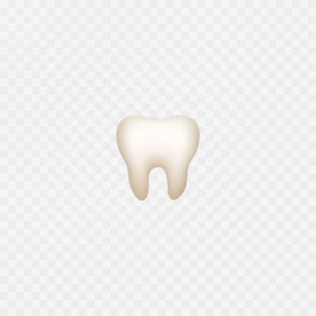 Tooth icon. Isolated on white. Realistic tooth. Vectorのイラスト素材