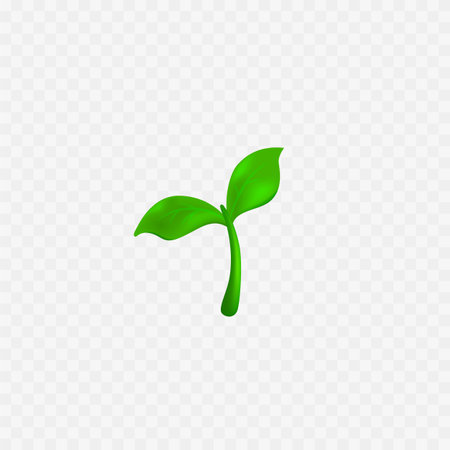 Seedling icon. Green plant. Cute little realistic green leaf. Vectorのイラスト素材