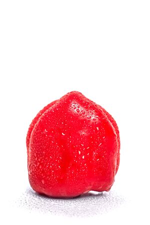 pepper isolated on white backgroundの写真素材