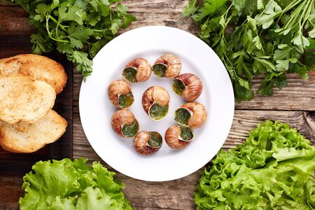 Escargots de Bourgogne - Snails with herbs butter on wooden background. Salad. Parsley.の写真素材