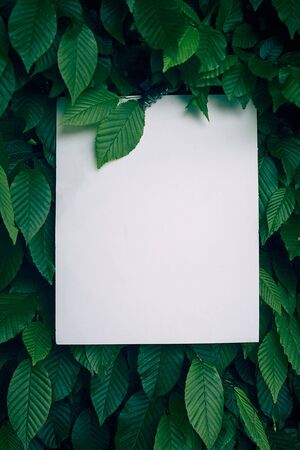 Creative layout made of flowers and leaves with paper card note. Flat lay. Nature concept