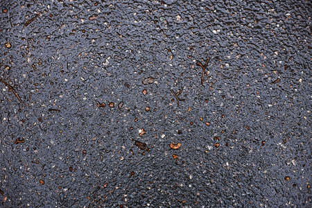 autumn yellow and red leaves on the asphalt wet from rain