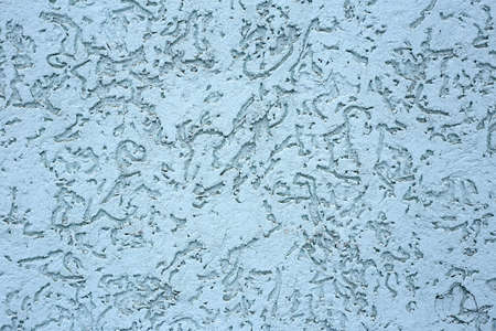 Decorative plaster with bark beetle pattern texture or background