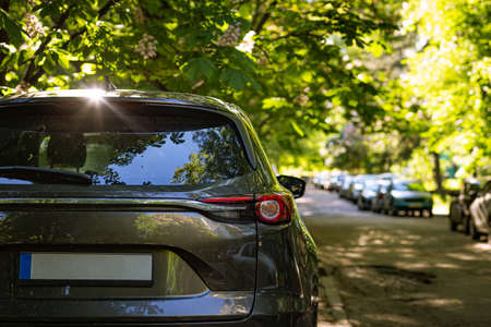 Back window of grey car parked on the street in summer sunny day, rear view. Mock-up for sticker or...