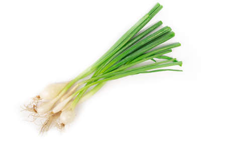 Young green onion set isolated on whiteの写真素材