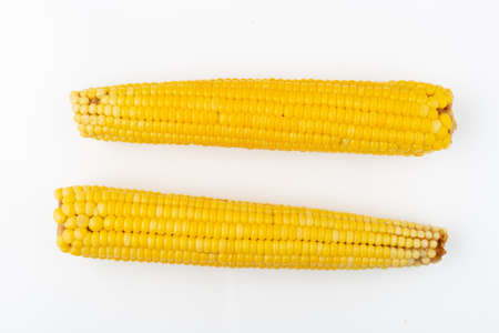 Two ripe sweet corn isolated on white background. Healthy vegan eating concept. Fresh vegetable ingredients. Organic food.の写真素材