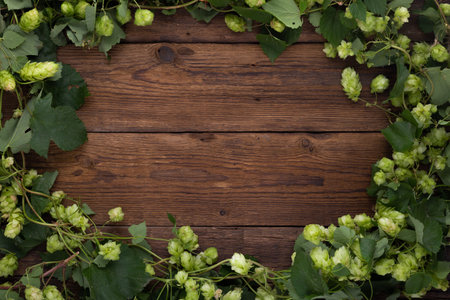 Wooden background. Frame of green hops on rustic old wooden boards. Copy space.の写真素材