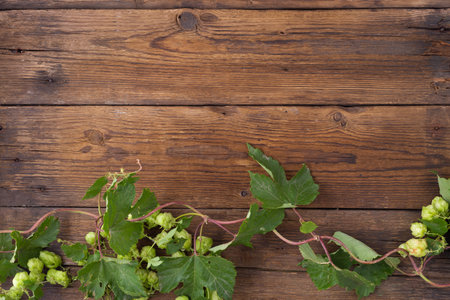 Wooden background. Frame of green hops on rustic old wooden boards. Copy space.