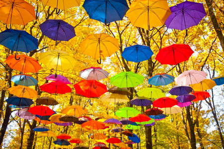 autumn umbrellas in the skyの写真素材