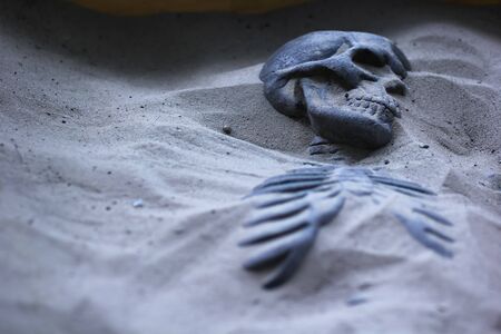 Excavated skeleton in sandの写真素材