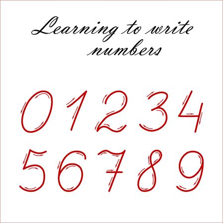 Learning to write numbers vector illustration. Elementary school conceptのイラスト素材