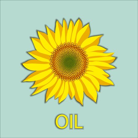 Vector illustration of sunflower flower head top view and oil letteringのイラスト素材