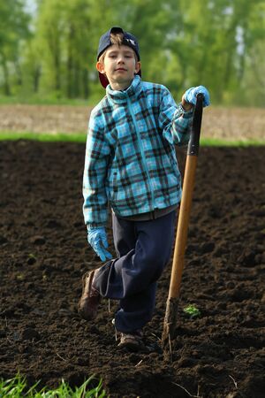 Portrait of a boy working and posing with a spade on the vegetable gardenの写真素材