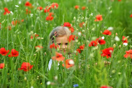 Three year old toddler girl hiding in the summer field of blooming poppy flowersの写真素材
