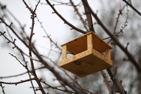 DIY, creative hand made wooden bird house / bird feeder hanging on the tree in a park