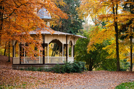 Gazebo among colorful autumn treesの写真素材