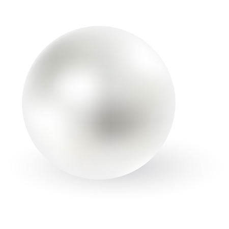 White pearl on white background.のイラスト素材