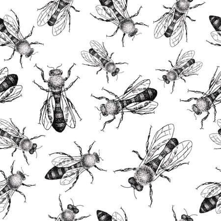 Fly seamless background.の写真素材