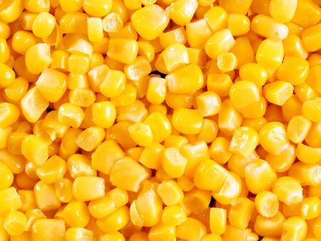 Corn closeup background.