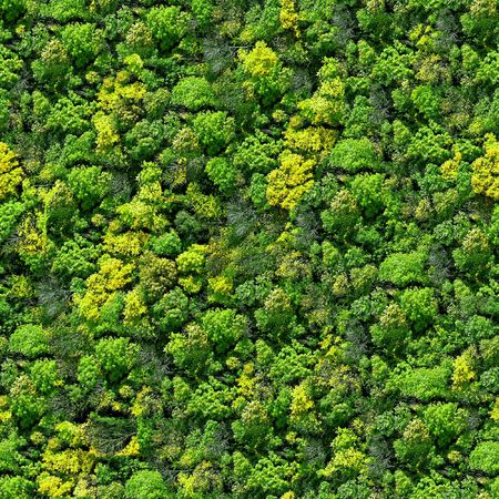 Forest seamless pattern - view from above.