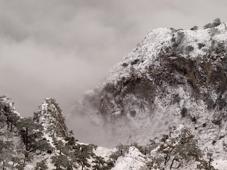 Snowy mountains with trees and fog.の写真素材