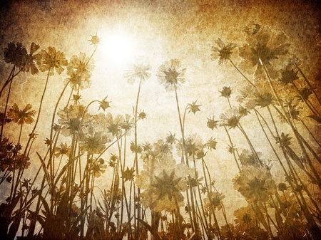 Flowers vintage background.の写真素材