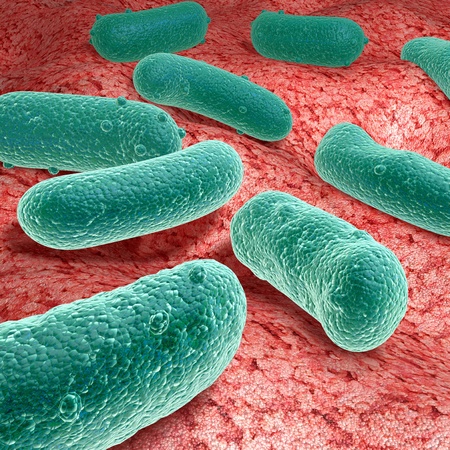 Virus.の写真素材