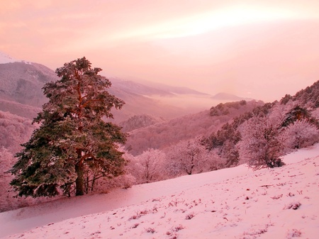 Snowy landscape.の写真素材