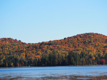 Autumn landscape with colorful forest and lake.の写真素材