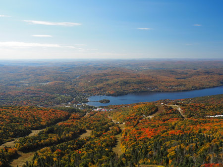 Aerial view of lake and forest in autumn.の写真素材