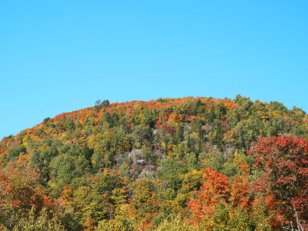 Autumn in the mountains. Colorful trees in the forest.の写真素材