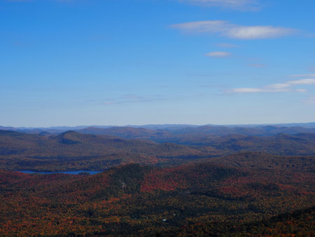 Autumn landscape with colorful forest and blue sky.の写真素材