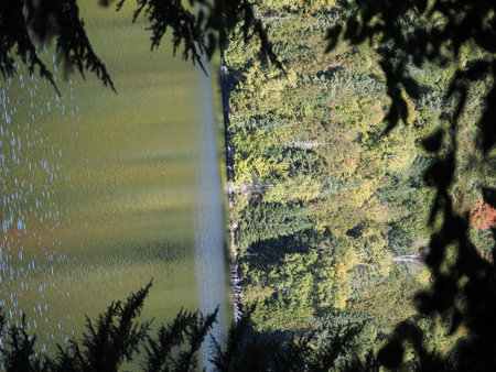 view of the lake from the top of the hill in the forestの写真素材