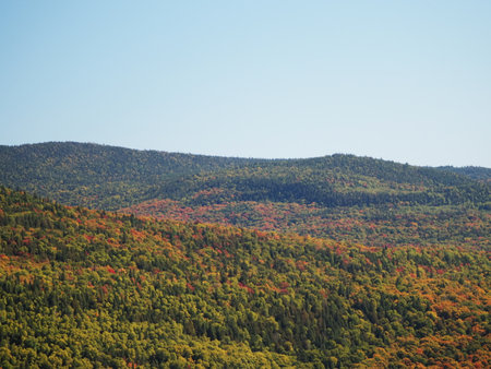 View of the mountains during foliage season.