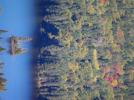 Aerial view of the autumn forest and lake. Colorful trees in autumn.の写真素材