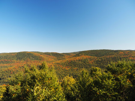 Autumn landscape with colorful forest and mountains in the background on a sunny dayの写真素材