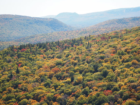 Autumn landscape with colorful forest and mountains in background.の写真素材