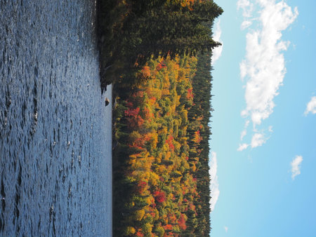 Autumn landscape with lake and blue sky. Nature background. Fall season.の写真素材